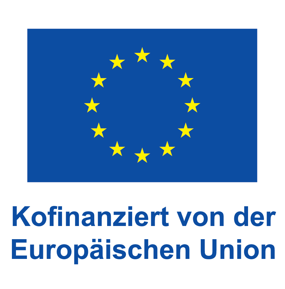 DE V Kofinanziert von der Europaeischen Union POS